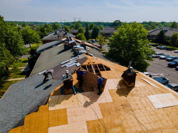 24/7 Emergency Roof Repair experts in Annandale, MN